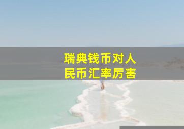 瑞典钱币对人民币汇率厉害