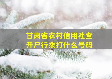 甘肃省农村信用社查开户行拨打什么号码