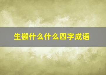 生搬什么什么四字成语