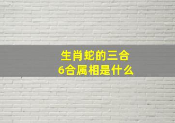 生肖蛇的三合6合属相是什么