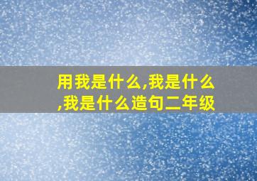 用我是什么,我是什么,我是什么造句二年级