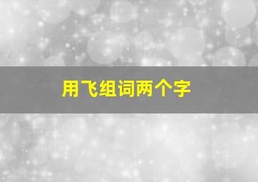 用飞组词两个字