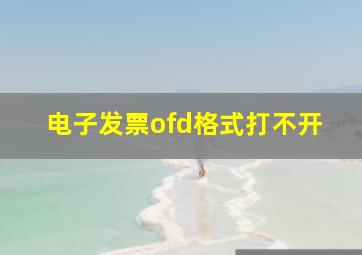 电子发票ofd格式打不开