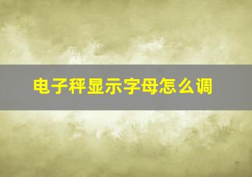 电子秤显示字母怎么调