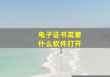 电子证书需要什么软件打开