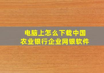 电脑上怎么下载中国农业银行企业网银软件