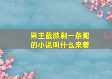 男主截肢剩一条腿的小说叫什么来着