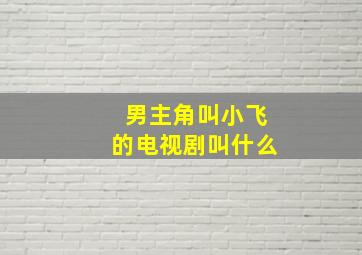 男主角叫小飞的电视剧叫什么