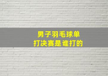 男子羽毛球单打决赛是谁打的