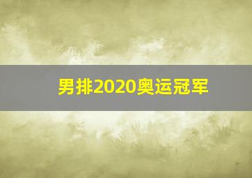 男排2020奥运冠军