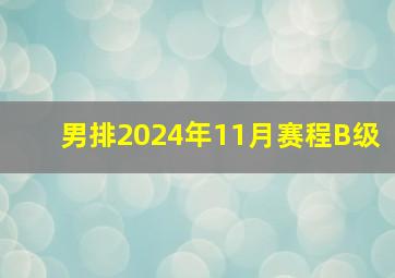 男排2024年11月赛程B级