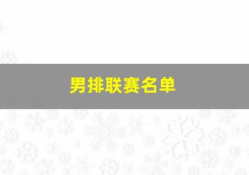 男排联赛名单