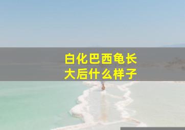 白化巴西龟长大后什么样子