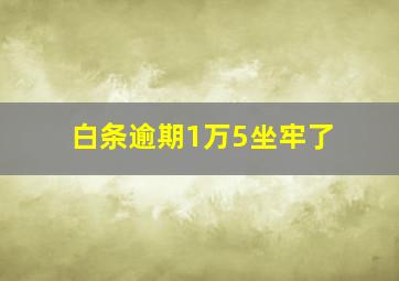 白条逾期1万5坐牢了