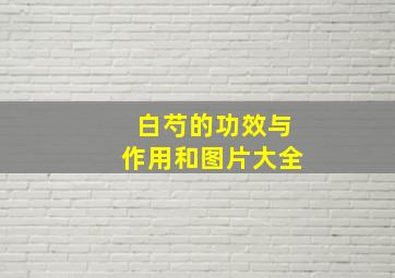 白芍的功效与作用和图片大全