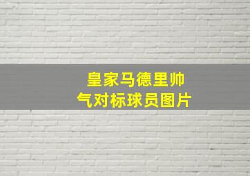 皇家马德里帅气对标球员图片