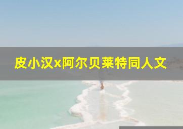 皮小汉x阿尔贝莱特同人文