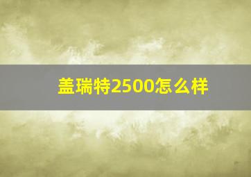 盖瑞特2500怎么样