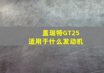 盖瑞特GT25适用于什么发动机