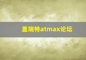 盖瑞特atmax论坛