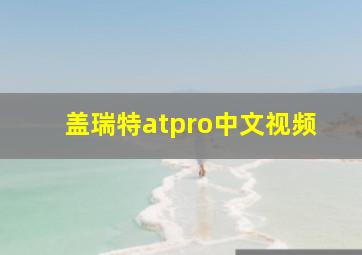 盖瑞特atpro中文视频