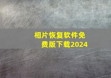 相片恢复软件免费版下载2024