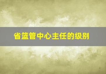 省篮管中心主任的级别