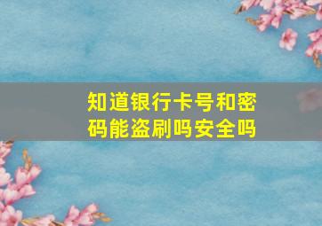 知道银行卡号和密码能盗刷吗安全吗