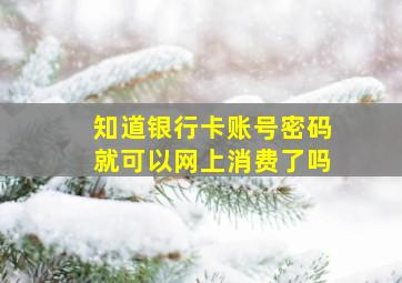 知道银行卡账号密码就可以网上消费了吗