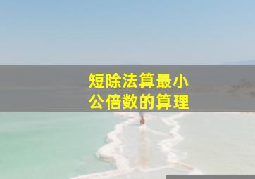 短除法算最小公倍数的算理