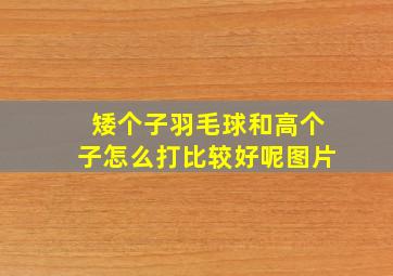 矮个子羽毛球和高个子怎么打比较好呢图片