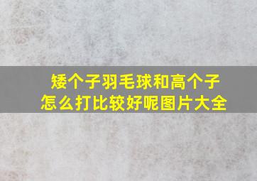 矮个子羽毛球和高个子怎么打比较好呢图片大全