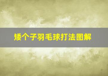 矮个子羽毛球打法图解