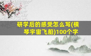 研学后的感受怎么写(横琴宇宙飞船)100个字