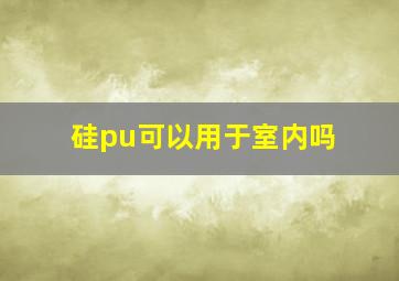 硅pu可以用于室内吗