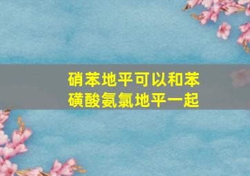 硝苯地平可以和苯磺酸氨氯地平一起