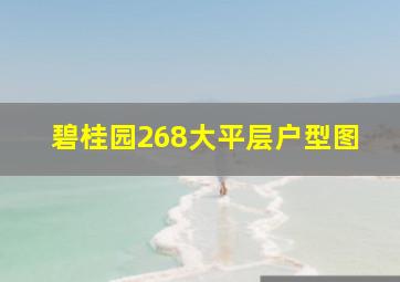 碧桂园268大平层户型图