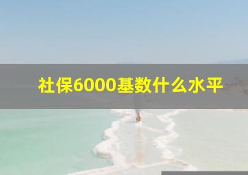 社保6000基数什么水平