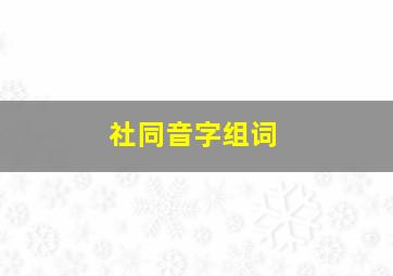 社同音字组词