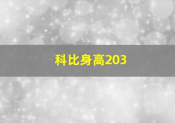 科比身高203