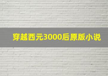 穿越西元3000后原版小说