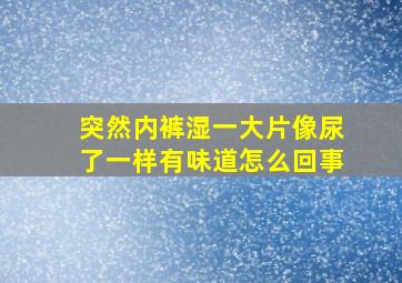 突然内裤湿一大片像尿了一样有味道怎么回事