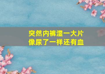 突然内裤湿一大片像尿了一样还有血