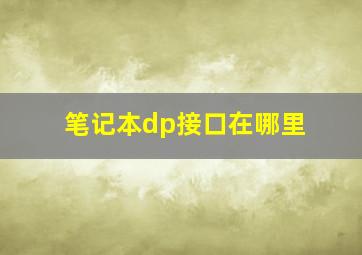 笔记本dp接口在哪里