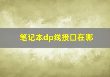 笔记本dp线接口在哪