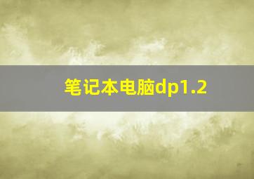 笔记本电脑dp1.2