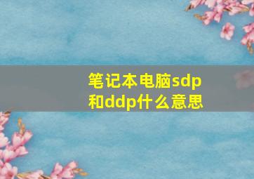 笔记本电脑sdp和ddp什么意思