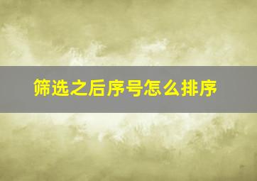 筛选之后序号怎么排序