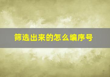 筛选出来的怎么编序号