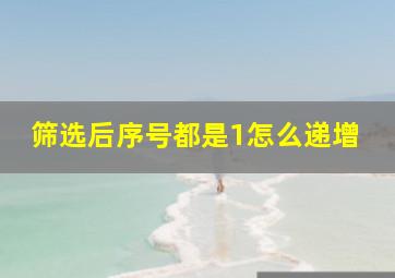 筛选后序号都是1怎么递增